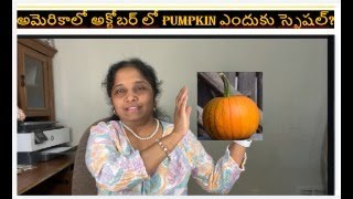 అమెరికాలో అక్టోబర్ లో Pumpkin ఎందుకు స్పెషల్? why pumpkin special in october?