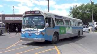 Montreal Historic Buses GM New Look \