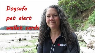 Dogsafe pet alert wallet cards