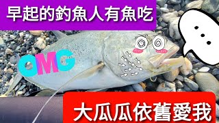 岸拋系列【早起的釣魚人有魚吃，大瓜瓜依舊愛我】D.C.L釣起來【shore jigging】