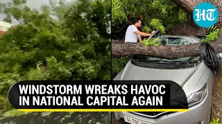 Heavy rains, windstorm wreak havoc in Delhi; Trees uprooted, cars damaged, flights disrupted