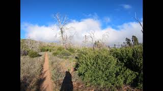 Big Laguna Mountain Loop Trail