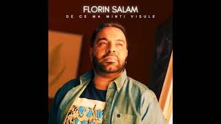 Florin Salam - dece mă minți visule | official audio Hit 2022]