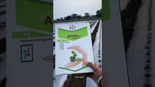 Bayer Aliette Systemic fungicide #music #farming #pestcontrol #agriculture#bayerfungicide  #organic