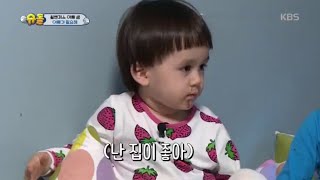 윌벤져스, 또 독립하나 Hoxy~? [슈퍼맨이 돌아왔다/The Return of Superman] 20200517