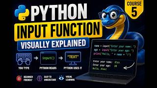 Python Input Function Visually Explained #Python Course 5. Creator :[@DataWithBaraa ]