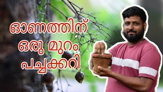 ഓണത്തിന് വീട്ടിൽ ഒരു മുറം പച്ചക്കറി | Vegetables for Onam