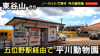 なぜか気合が入ってきた夢子姐さんと動物園。東谷山から平川動物園　GoPro 　鹿児島ドライブ　おまかせテレビ　2208-8