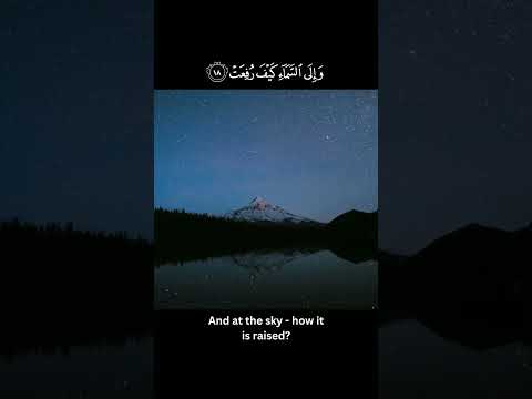 The Most Beautiful Quran Recitation 😍 - YouTube