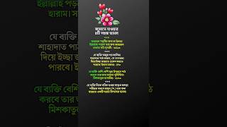 জান্নাত লাভের চারটি সহজ আমল 🌺| Islamic Short Video 🌷#shorts #islamic