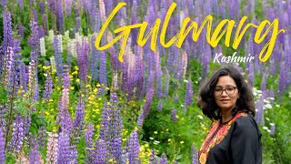 Gulmarg | Meadow of flowers | Gondola Ride | Kashmir Vlog 5