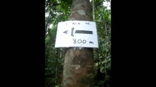 Mxtube Net Budak Sekolah Main Dalam Hutan Stim Mp4 3gp Video Mp3 Download Unlimited Videos Download