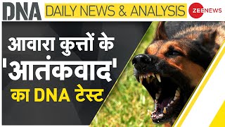 DNA LIVE : आवारा कुत्तों को किसने बनाया 'किलर' ? |  Street Dog | Pitbull | danger | German Shepherd