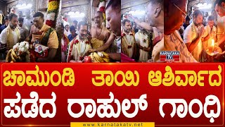 ಚಾಮುಂಡಿ  ತಾಯಿ ಆಶಿರ್ವಾದ ಪಡೆದ ರಾಹುಲ್ ಗಾಂಧಿ | Rahul Gandhi | Karnataka News