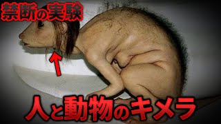 禁断の人体実験…人間の遺伝子が組み換えられた！？隠されたキメラ生物の真実 選【都市伝説 ミステリー】