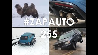 #ZapAuto 255