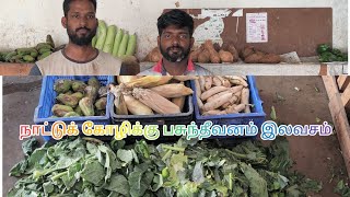 நாட்டுக்கோழி வளர்ப்பு பாகம்.1  நாட்டு கோழிக்கு பசுந்தீவனம் இலவசம் இலவசம் இலவசம்.