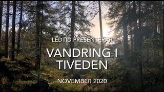 Vandring i Tiveden - November 2020