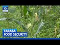 Taraba Food Crisis: Farmers Lament Impact Of Insecurity, Flood On Productivity