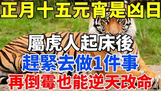 正月十五元宵是凶日，屬虎人起床後，趕緊去做1件事，再倒霉也能逆天改命！【佛語禪音】#生肖 #命理 #運勢 #屬相 #風水