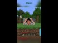 minceraft but if i say minecraft the video ends