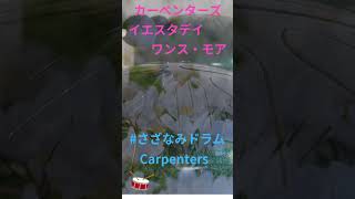 【70年代ヒットソング】カーペンターズ イエスタデイ・ワンス・モア Carpenters  Yesterday Once Moreさざなみドラム タングドラム スリットドラム 癒しBGM