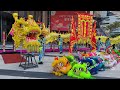 Dragon Dance 舞龙 舞龍