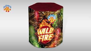 0627E Wild Fire