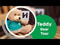 What to Expect on the Day of Your Surgery | HRH Teddy Bear Tour