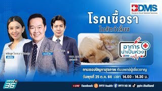 โรคเชื้อราในสัตว์เลี้ยง | อาการน่าเป็นห่วง EP.86 | PPTV HD 36​