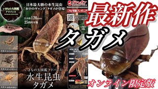 【ガチャガチャ】いきもの大図鑑アドバンス『水生昆虫タガメ』オンライン限定版【最新作】開封！！【＠BANDAI】＃capsuletoys