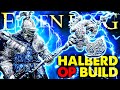 Elden Ring: USE THIS AMAZING BUILD TO CONQUER THE DLC! -  Dragon Halberd VS All Bosses NG+ No Hit