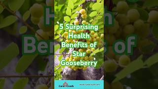 5 Surprising Health Benefits of Star Gooseberry | #carecrash