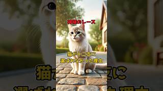 神様のレース 猫が十二支に選ばれなかった理由