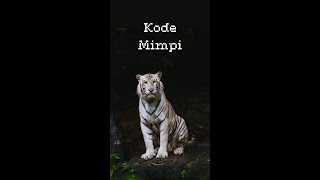 Arti Kode Mimpi (Harimau) #fy #fyp #kodemimpi #harimau