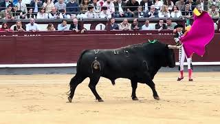 Salida 1º toro de FUENTE YMBRO: \