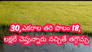 30,, ఎకరాల భూమి కేవలం 18,,లక్షలు మరిన్ని వివరాలకై call,7337442246