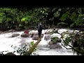 crossing over a stream in the reserva municipal andaqui dept. caqueta colombia