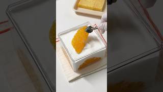 🍊시판 카스테라로 한라봉 보틀케이크 만들기ㅣ노오븐 베이킹ㅣtangerine cake