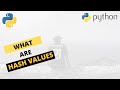 What Are Hash Values ? || Python hash() function