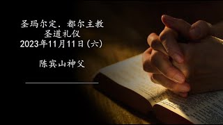 2023年11月11日（六）每日圣道礼仪 陈宾山神父主持 Mandarin Liturgy of the Word celebrated by Fr John Chen