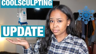 COOL SCULPTING UPDATE | BEFORE & AFTER | Q&A