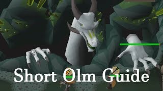 OSRS - Short guide on The Great Olm