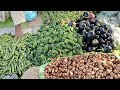 Burewala Sabzi Mandi | Wholesale Sell Sabzi Market |Burewala Sabzi Mandi Off Panjab