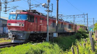 【2024/06/14·朝の東北本線を走る貨物列車】3081ﾚ(下り 西浜松→札幌タ·EH500-37牽引)