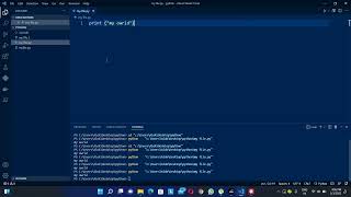 VS Code clean output with code runner for python programming