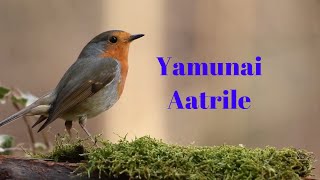 Yamunai Aatrilae || Intro To A New Beginning ...... || Appu's Songs || Passion Singer