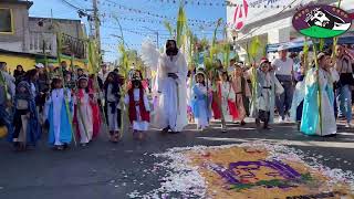 DOMINGO DE RAMOS | COSSIAC