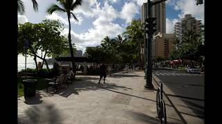 ホノルル動物園　Honolulu Zoo　旅行（2010年撮影）