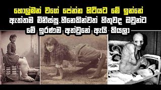 හොල්මන් වගේ පේන්න හිටියට මේ ඉන්නේ ඇත්තම මිනිස්සු හීනෙකින්වත් හිතුවද ඔවුන්ට මේ ඉරණම අත්වුනේ ඇයි කියලා